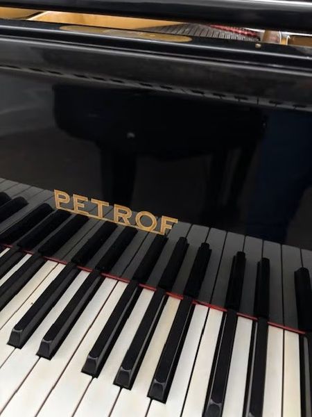 Petrof P-III 193 cm