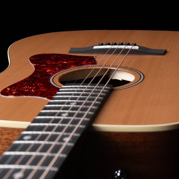 GODIN Century Maho Nat EQ W/Bag