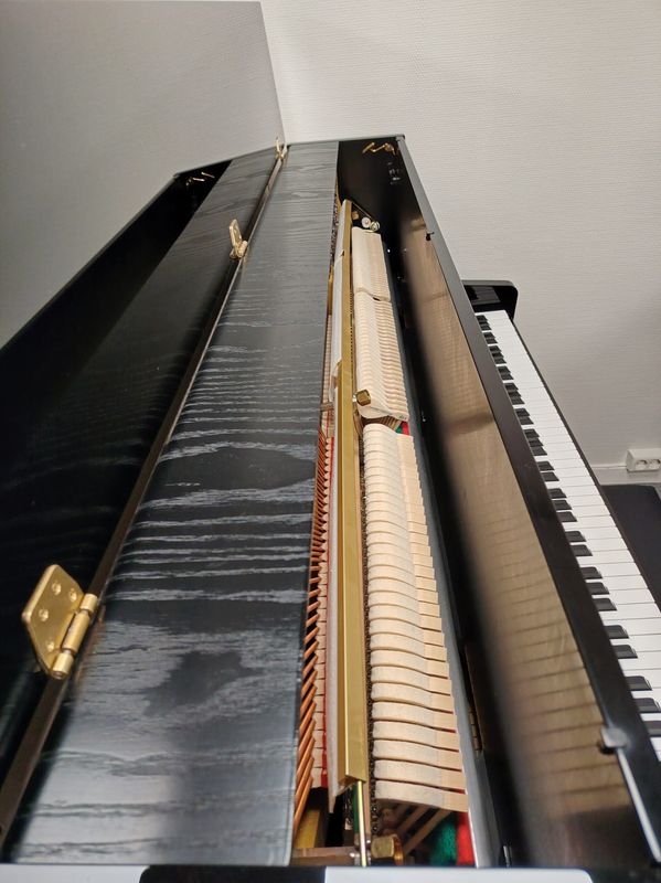 Schimmel piano mod. 116 selges!