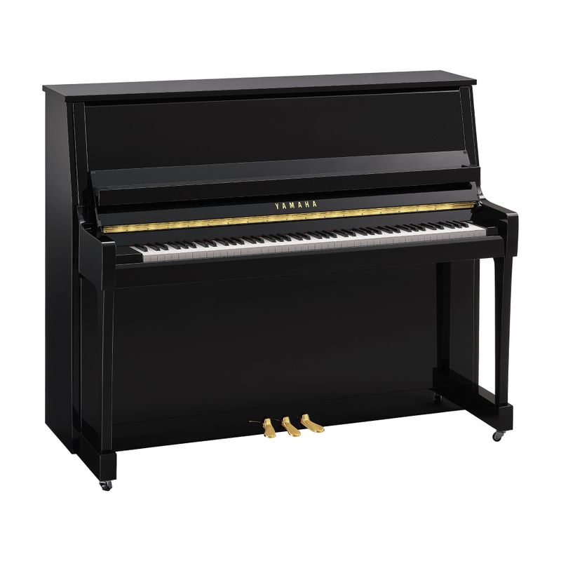Yamaha B30 PE