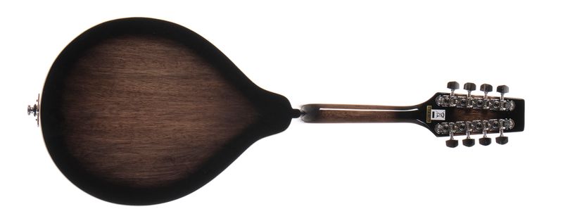 Morgan Mandolin M 20 E Tbk