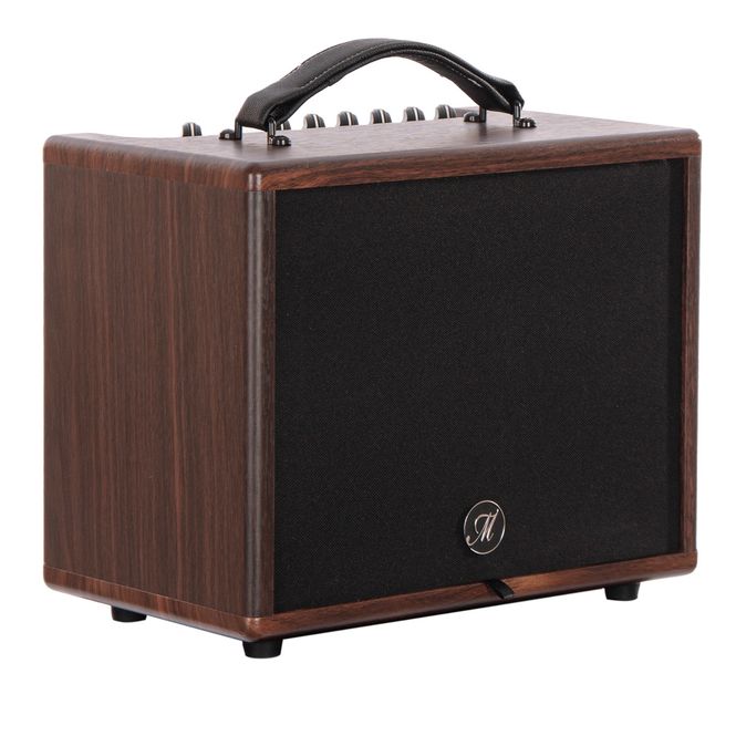 Hovedbilde Morgan Amp AC 45 Fxbt
