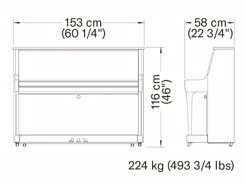 Yamaha B20SC3PE 