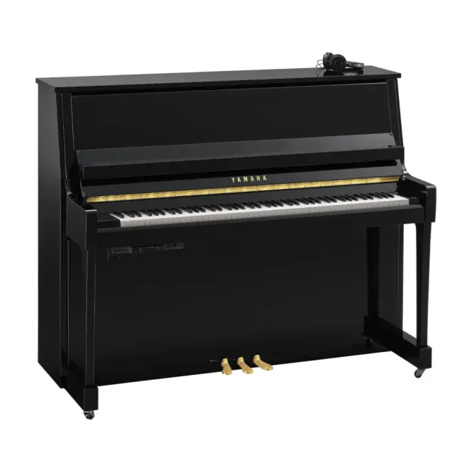 Hovedbilde Yamaha B30SC3PE